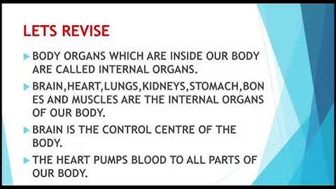 CLASS IV / EVS/ LESSON-2  OUR INTERNAL ORGANS ( MODULE-2)