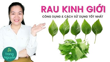 Ăn Rau kinh giới có tác dụng gì đối với sức khỏe?