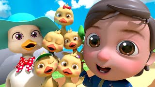 Five Little Ducks | LetsgoMartin Kids Songs Compilations