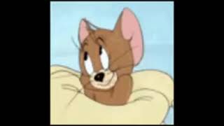 #Blushing  #jerry