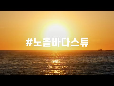 [INTERSTELLA] 해피콜 - 포레스트우드 (노을바다스튜 편)