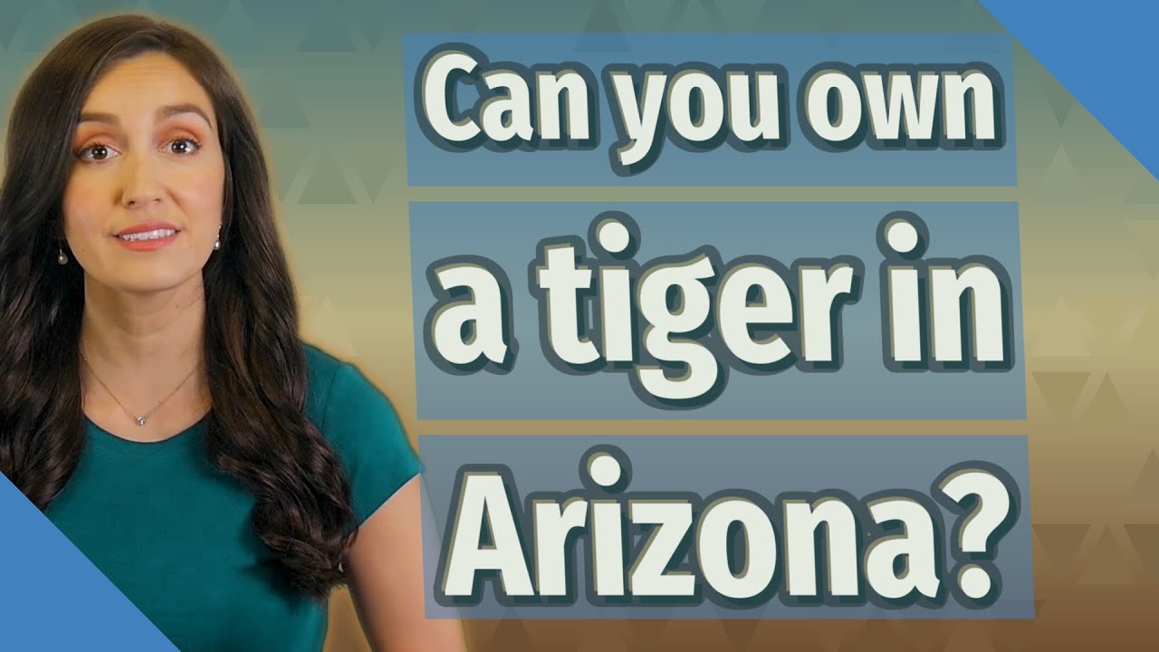Can You Own A Tiger In Arizona YouTube