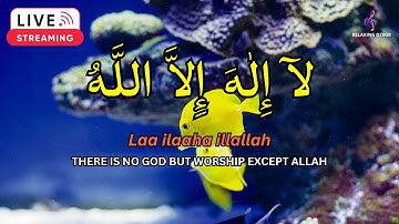 LAILAHAILLALLAH: Sleep Dzikir For Reduce stress #25