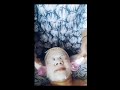 03 shine glow facial 💃💃💃💃💃