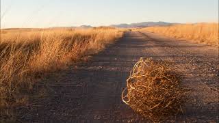 Tumbleweed