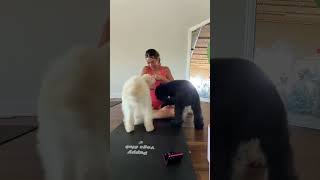 Celebrity This was such a fun experience omg! #shorts Wealth