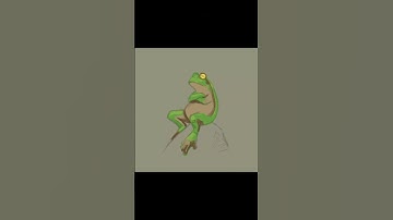 Hope you liked this frog as much as I did 🐸🎀 #tinyfrogs #frog #animation #design #procreate