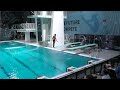 Boys B 1m - Eindhoven Diving Cup 2019