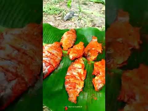 tast vara Leavel Fish recipe in Tamil | fish fry #fish #tamil #shorts