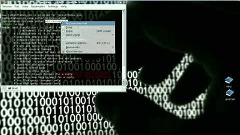 Network   Web Security Auditing Backtrack Linux