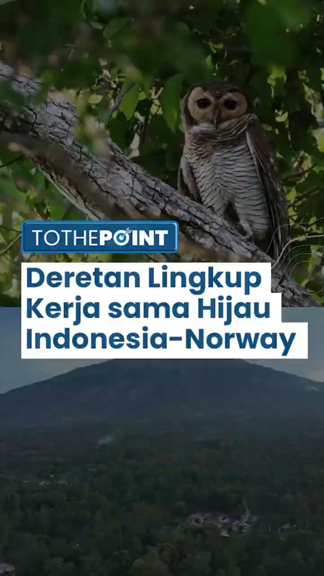 Jalin Kerjasama untuk Kurangi Emisi, Berikut Deretan Ruang Lingkup Kerjasama Norwegia dan Indonesia