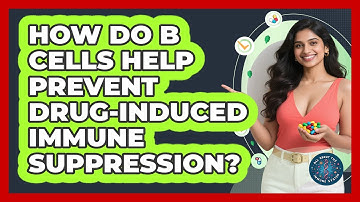 How Do B Cells Help Prevent Drug-induced Immune Suppression? - All About the Immune System