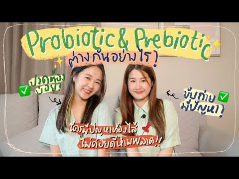 ทำความรู้จักprobioticกับprebiotic ช่วยอะไร ใครมีปัญหาเรื่องขับถ่ายต้องดู !🤫 l Pharmasis (Probilac)