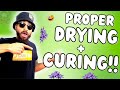 Drying and curing properly  how to harvest plants right  roses fruits and flowers