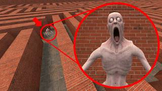 DON'T LOOK BACK! Giant SCP-096 Chased Me in Maze!