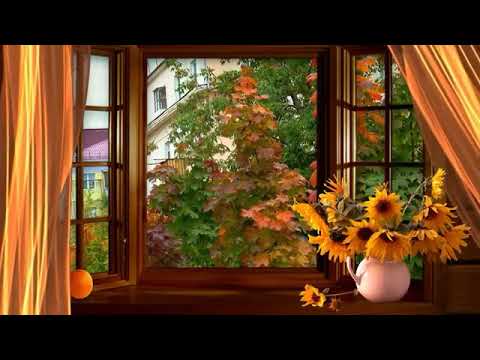 موسيقى هادئة مع صوت الرياح للاسترخاء