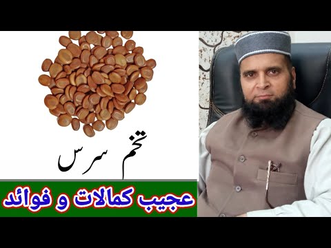 تخم سرس کے کمالات و فوائد         