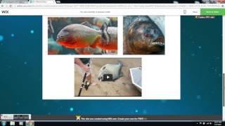 Web Design workshop - BIG IDEA @ the JCC 2016 Session 3