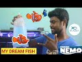 New Nemo Fish | Tamil | SK Aqua | SK Aquatic |