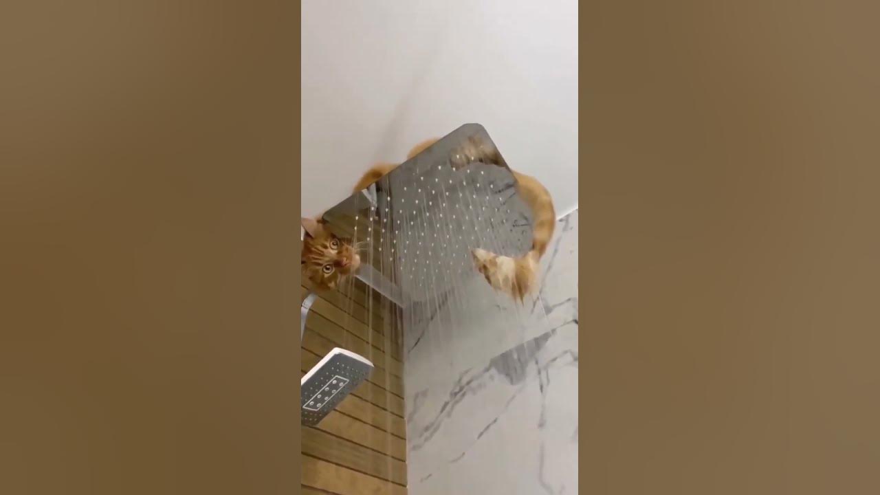 А я тебя вижу)) - YouTube