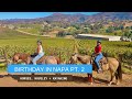 BIRTHDAY IN NAPA VALLEY VLOG PT.  2 | HORSEBACK RIDING, HOUSLEY WINE TASTING + KAYAKING