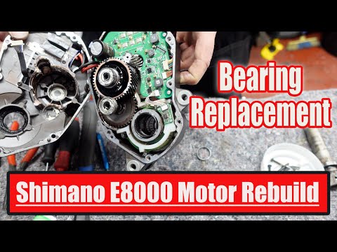 Shimano E8000 Motor overhaul and bearing replacement.