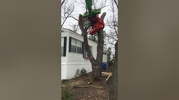 Merlo / wood cracker @dougstreeservice2822