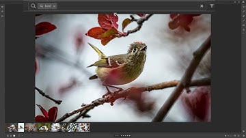 Learn Lightroom CC (Lightroom in the Cloud) - 3: Workspace & File Syncing