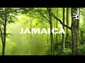 80s Reggae Mix - Simply The Best (Ft. Sanchez, Pinchers, Cocoa Tea, Shabba Ranks, Gregory Issacs