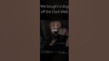 we bought a dog off the dark web and named it Parker. it