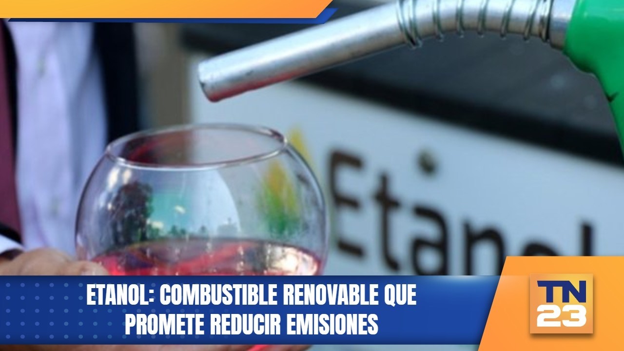 Etanol: Combustible renovable que promete reducir emisiones
