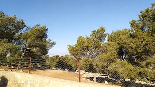 Mysterious Heartbeat sound from Jordania