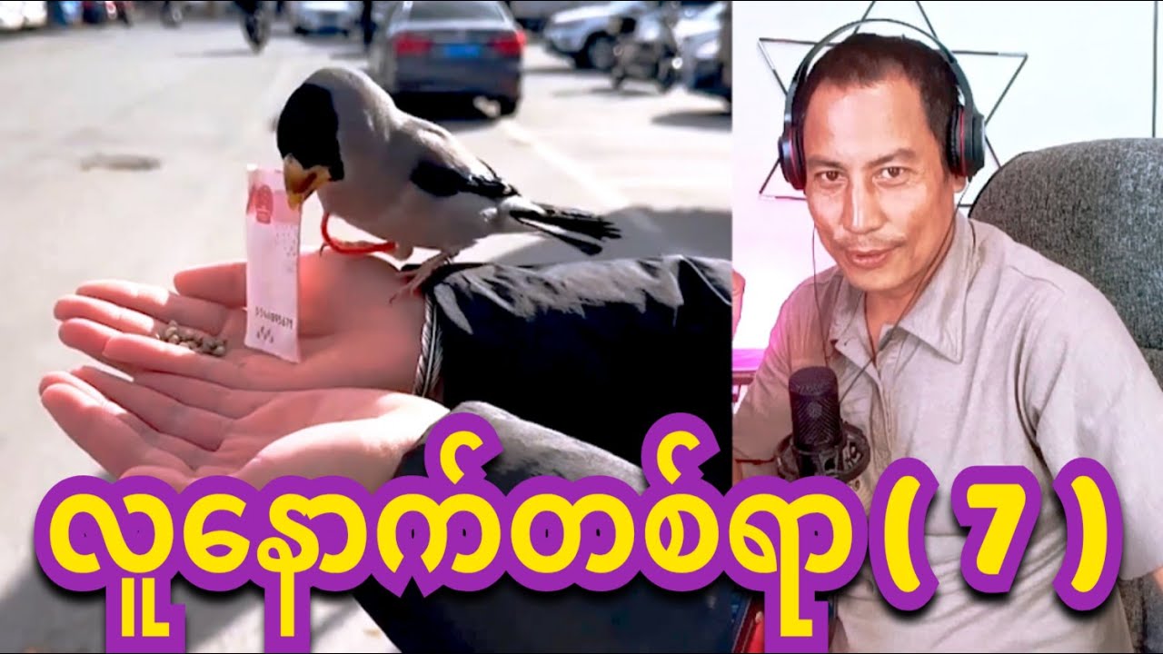 reaction lu nouth 100 funny 7 လူနောက်တစ်ရာ (  ၇. )