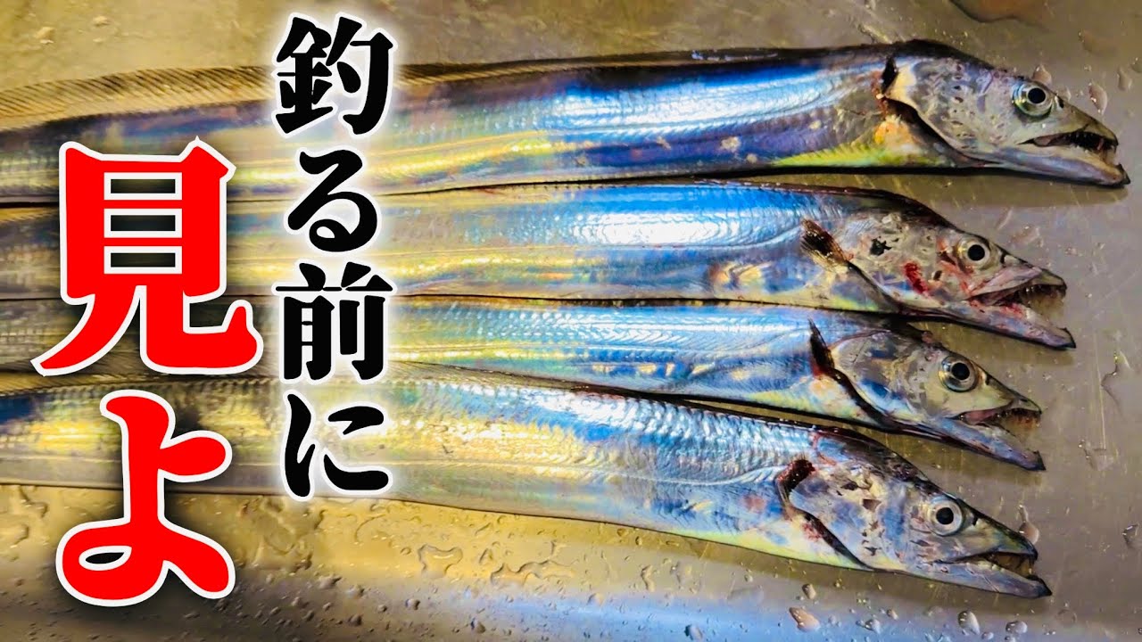 ②【見ないと危険】タチウオの全てがこの動画で解ります。噂のLIV WATERも使います。