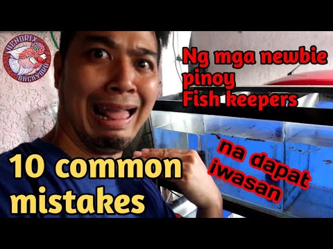 10 common mistakes ng mga newbie pinoy fish keepers na dapat iwasan