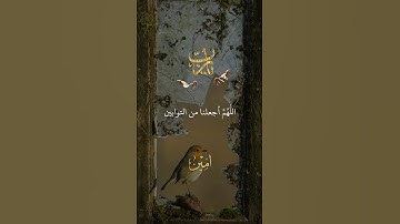 #تلاوة_خاشعة #قرآن_كريم #اذكار #quran #islamic #دعاء #دعاء_الصباح #اذكار_الصباح