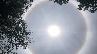 Fenomena Halo Matahari yang Terlihat di Langit Hari Ini