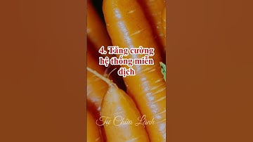 Các Tác Dụng Bất Ngờ Của Cà Rốt Đối Với Sức Khỏe  #tuchualanh #carot