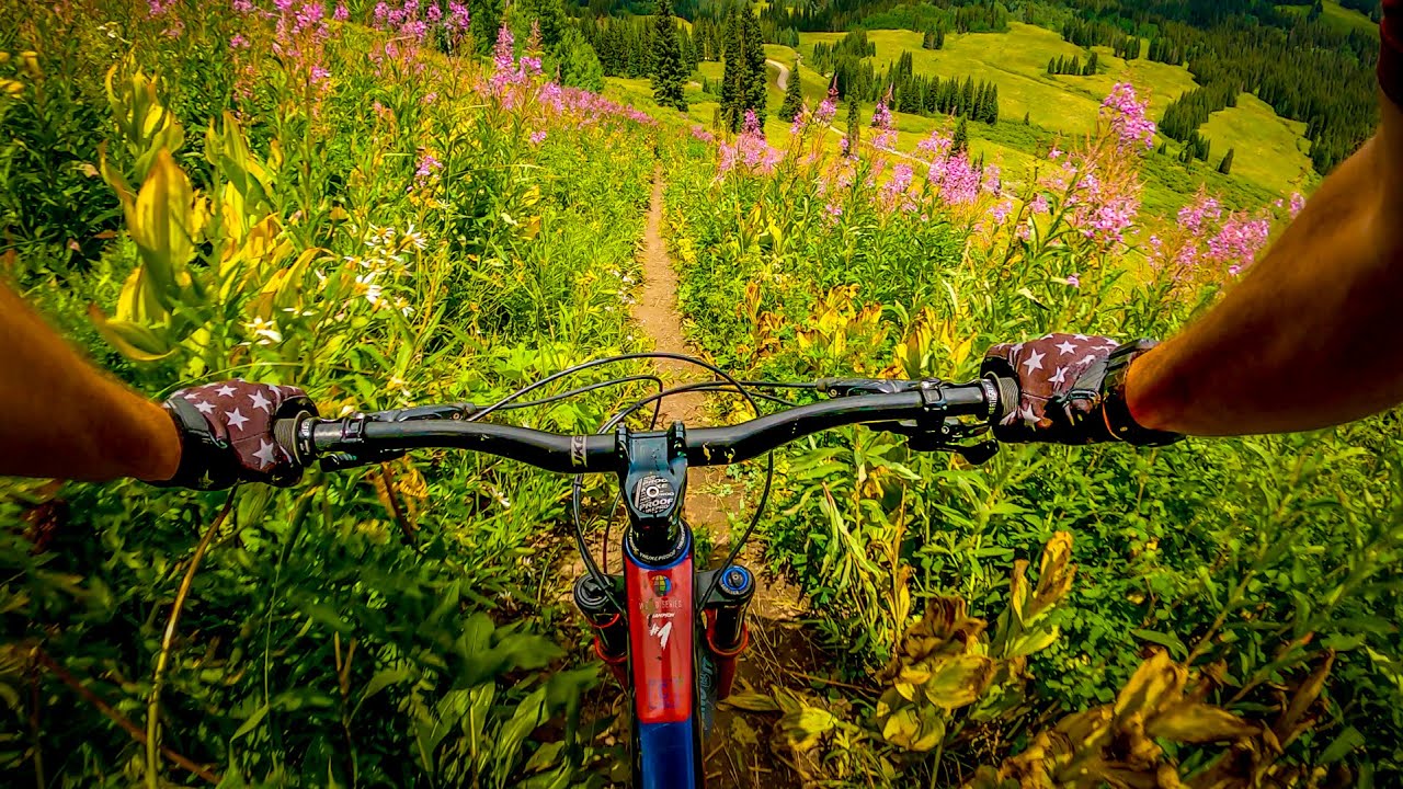 Trail 403 Crested Butte Colorado, Backcountry Mountain Biking. - YouTube