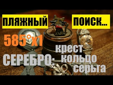 Пляжный поиск. Золотое кольцо и черная кошка! / Beach hunting