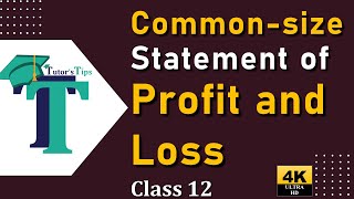 Common-size Statements of Profit & Loss with example - Accounts class 12 - Explained with Animation