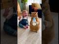 猫にミルクを飲まれてしまい泣いてしまう赤ちゃん👶🐈#cat #cats #baby #cute #funny #shorts #catvideos #赤ちゃん #猫のいる暮らし