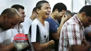 The holy of qur'an||◇عبدالرشيد على صوفي||◇سوره الفتح