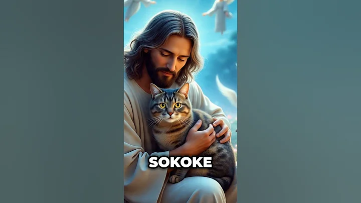 Watch the video about Sokoke Cats, The Wild Jungle in Your Living Room! 😇 #sokokecat