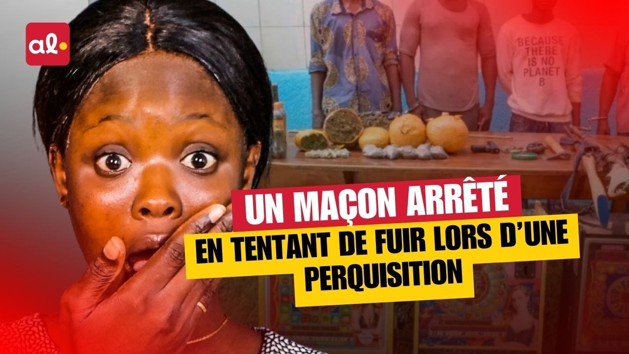 Hamilton, Sécurité, Santé & Coopération internationale : l’essentiel à retenir