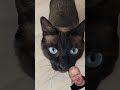 Минут десять пятого утра