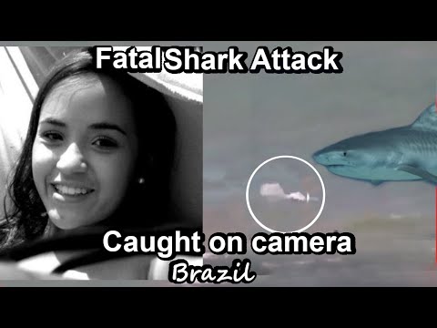 Fatal Shark Attack Caught on Camera; 2023 Shark Attack Brazil
