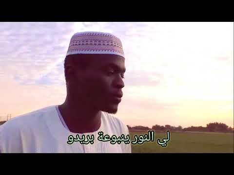 عدناني لي ريدو ادناني بريدو راوي محمد الابريز اداء مصطفى محمدين علي