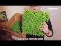 Comment installer des plantes artificielles/tapis de haies artificielles pour la décoration