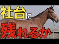 【正念場】社台SSで踏ん張り時だと思う種牡馬3頭！盛り返しを期待。